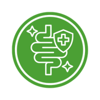 Digestive Wellness - Salman Herbal Pharmacy