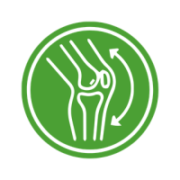 Joint Care - Salman Herbal Pharmacy